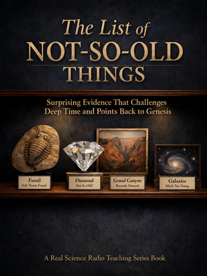 The List of Not-So-Old Things book cover