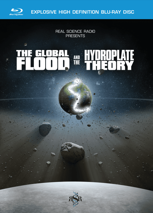 The Global Flood and Hydroplate Theory